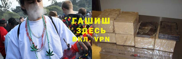 твердый Гусев