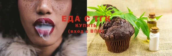 твердый Гусев