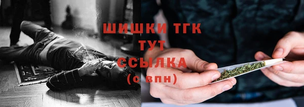 твердый Гусев