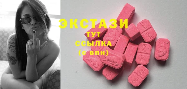твердый Гусев