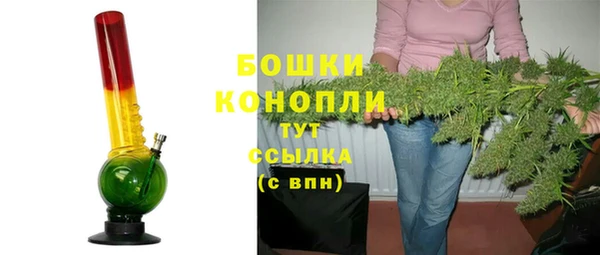 твердый Гусев