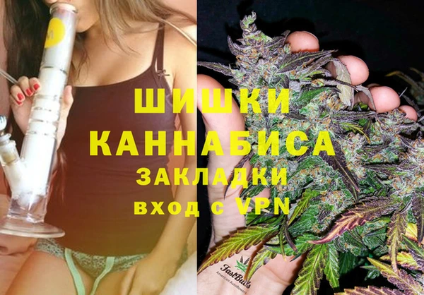 твердый Гусев