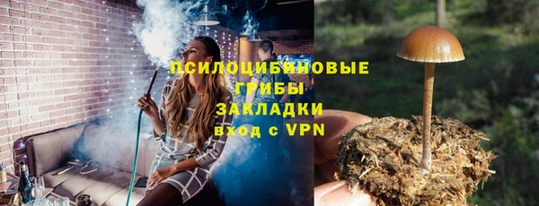 прущий лед Гусь-Хрустальный