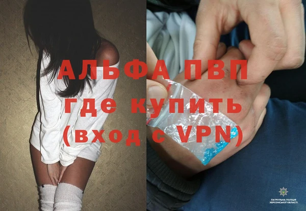 твердый Гусев
