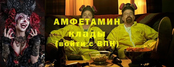 твердый Гусев