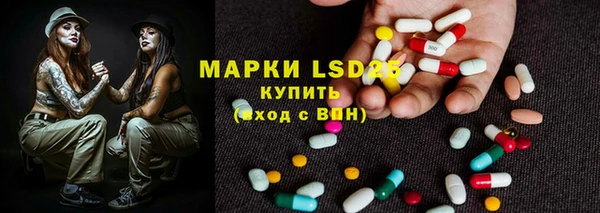 твердый Гусев