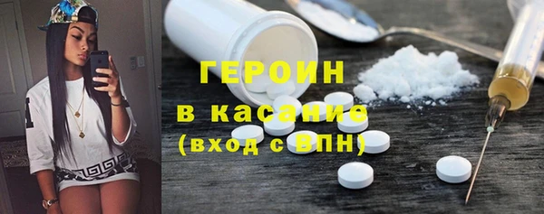 твердый Гусев