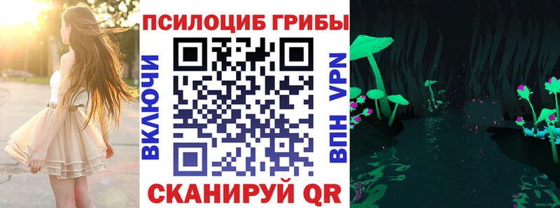 Купить  Комсомольск  Галлюциногенные грибы GOLDEN TEACHER 
